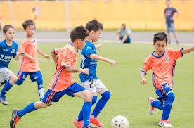 2026年国际足联世界杯 乒乓球台最好用什么材料